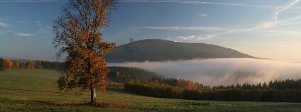 Srní, Prášily, Velký Bor Marek Drha Foto: NP Šumava