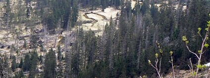 Labský důl s meandrujícím tokem Labe, Krkonošský národní park Foto: Huhulenik Wikimedia Commons