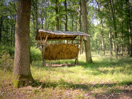 Mezi lidmi, kteří v dotaznících uvedli, že se environmentálně angažují, ale nejsou jen čistí ekoaktivisté. O divoká zvířata například pečují také myslivci, o zdravé potraviny se zajímají lidé i z jiných důvodů než ekologických