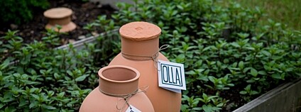 Firma Zahradní OLLA vyrábí nádoby, které pomáhají šetřit vodou. Foto: Kofola