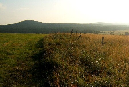 Vápnění doplní chybějící živiny, přispěje k úpravě půdního pH, čímž se zlepší stav dřevin a vytvoří se podmínky pro zalesňování cílovými dřevinami. Kromě smrku ztepilého půjde především o buk lesní a dále javor klen nebo jedli bělokorou. Akce bude pokračovat od srpna pomocí letadel.