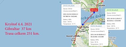 Návrat čápa Kryštofa z Afriky Foto: DESOP Plzeň