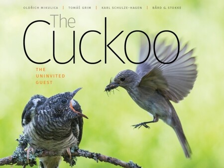 Kniha mapuje celý životní cyklus kukačky od snesení vejce přes vylíhnutí, péči o mládě v hnízdě i mimo ně.
