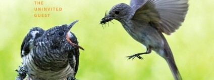 Foto: Oldřich Mikulica / Univerzita Palackého