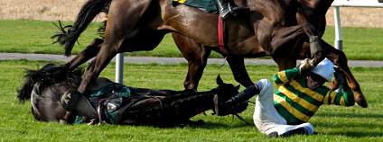 Foto: Paolo Camera / Flickr