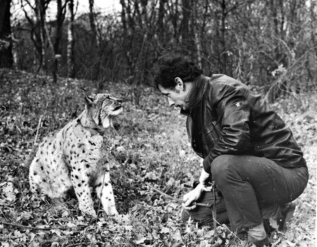 Ludvík Kunc je zoolog, publicista a výtvarník. A guru ochranářů rysů a dalších velkých šelem v České republice.