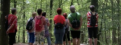 Kurz Lesní mysli Foto: Síť instruktorů Lesní mysli