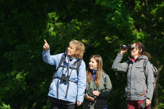 Kurz určování ptáků.