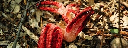 Foto: Pavel Vlček / Zoo Ostrava