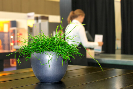 Dosud propagované „prázdné“ kanceláře nemusí být úplně to nejefektivnější pracoviště