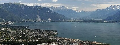 Foto: Shark Wikimedia Commons