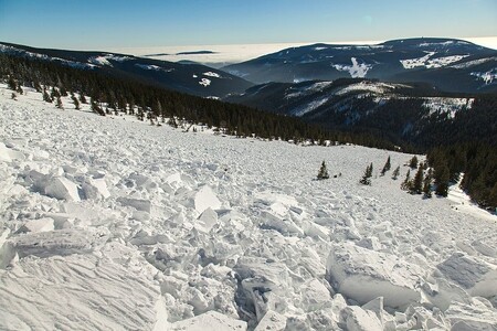 Lavina z února 2015 nikoho nezranila, zasáhla plochu 20 hektarů, na délku měřila 1106 metrů, překonala Modrý potok a zastavila se v protisvahu, kde byl sníh na velkých stromech ve výšce až šesti metrů. / Ilustrační foto