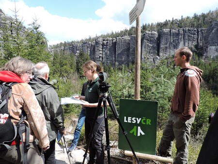 Na pozorování sokolů můžete využít dalekohled Lesů ČR.