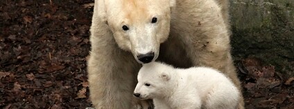 Foto: E. Stuchlík / Zoo Brno