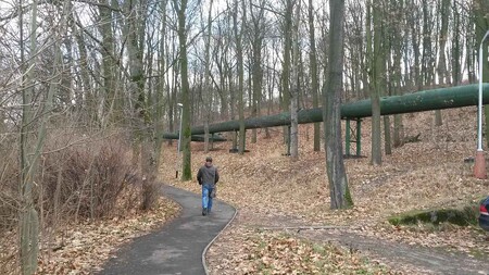 Město Sokolov obnoví další část lesoparku pod rozhlednou Hard.