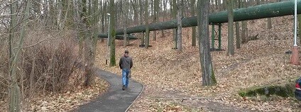 foto: Roman Cichocki / sokolovsky.denik.cz