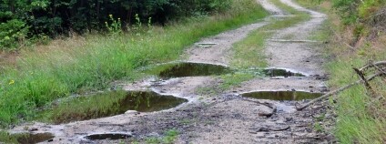 Foto:  Jan Řezáč / VÚLHM