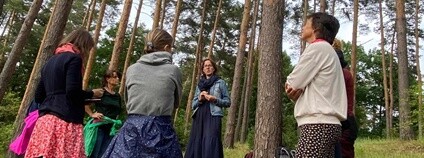 Lesní mysl Foto: Síť instruktorů Lesní mysl