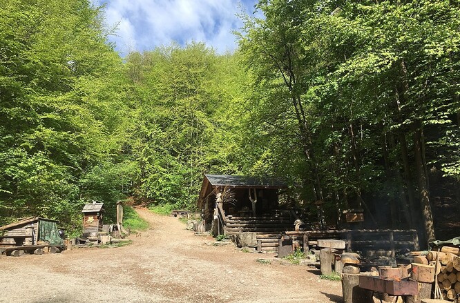 Samoobslužný Lesní bar nedaleko Lipové-lázní.