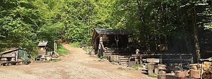 Samoobslužný Lesní bar nedaleko Lipové-lázní na Jesenicku Foto: Lesnibar Wikimeda Commons