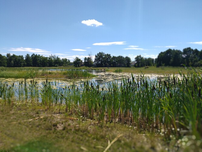 Lesopark Na Panském v Bohumíně