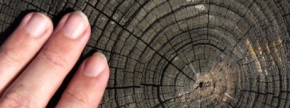 Letokruh Foto: Daniel Oines Flickr