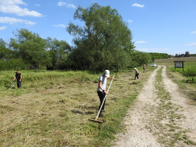 Dobrovolníci ČSO pečují o lokality.