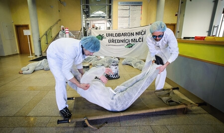 „Mrtvoly“ zaplnily vchod do úřadu Pardubického kraje. Na protest proti elektrárně Chvaletice