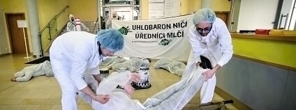 Foto:  Limity jsme my