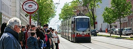 foto: Manfred Helmer