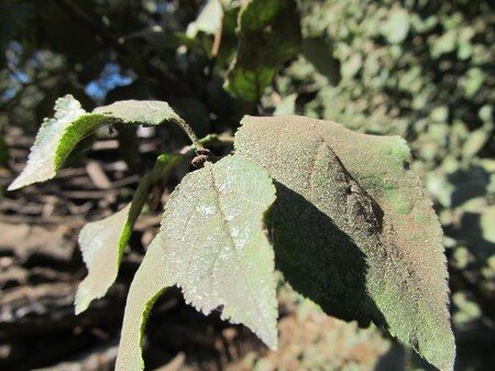 Provozovatel způsobil zvýšenou prašnost v okolí provozovny v Českém Krumlově.