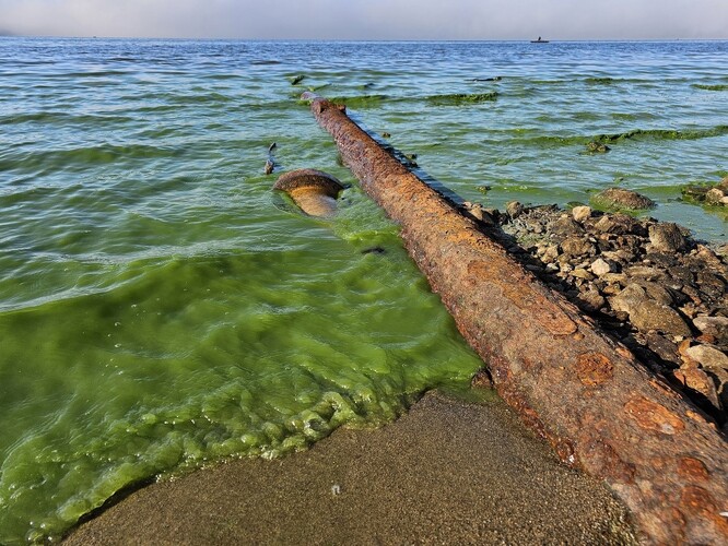 Výpusť vedoucí z nefunkční ČOV v areálu bývalého Camphotelu Hruštice.
