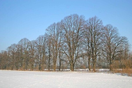 Vláda sice rozšířila seznam o padesátku nových a sedmdesát stávajících doplnila, podle Arniky ale dva nejdůležitější body - ochrana lokalit Porta Bohemica s Labským údolím a Slavíkovy ostrovy - zmizely ze seznamu na poslední chvíli