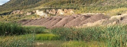 Foto: Petr Dušek / Těžební unie