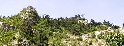 Starý vápencový lom Na Turoldu Foto: Wikimedia Commons