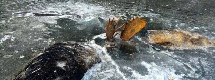 Foto: Jeff Erickson / The Washington Post