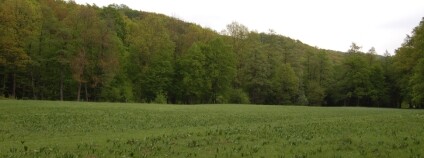 foto: Martin Mach Ondřej / Ekolist.cz