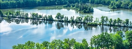 CHKO Třeboňsko Foto: Petr Jan Juračka Přírodovědecká fakulta Univerzity Karlovy