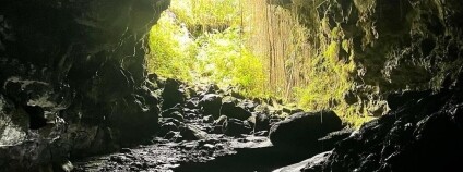 Foto: Alena Boninska