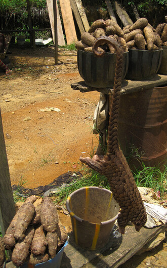 Živý luskoun připravený k prodeji u silnice nedaleko města Makomb v Kamerunu.
