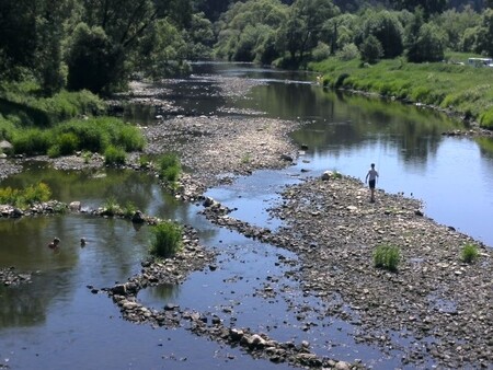 Inspekce kontrolovala stav vody na 37 řekách po celé republice, problémy se vyskytovaly vzhledem k mimořádně suchému létu všude