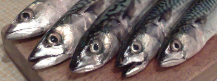 Foto: Podknox / Flickr