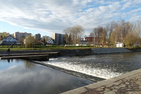 Strana zelených řeší ve svém programu problematiku zasídlení venkova, ochrany zemědělské půdy a péče o lesy, opatření proti suchu a povodním