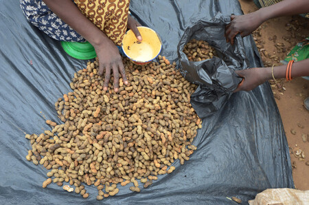 Světový program pro výživu (WFP) již začal třem milionům Malawijců pomáhat