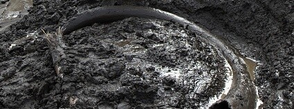 Foto:  Penn State / Flickr