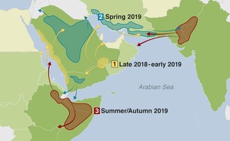 Nárůst sarančat se vyvíjí od roku 2018.