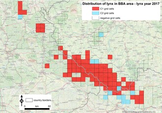 Mapa rozšíření česko-bavorsko-rakouské populace rysa ostrovida v rysím roce 2017. Červeně kvadráty, kde byl rys potvrzen pomocí tzv. SCALP C1 dat (nejkvalitnější data – fotka z fotopasti, mrtvé zvíře nebo DNA vzorek). Modře kvadráty, kde byl rys potvrzen pomocí C2 dat (středně kvalitní data - rysí stopa nebo kořist zdokumentovaná fotograficky). Prázdné kvadráty byly sledovány pomocí fotopastí, rys zde ale zaznamenán nebyl.