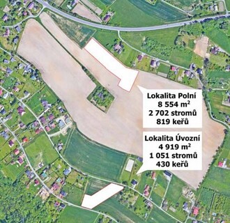 U výpadovky na Karvinou založilo město nový lesík, další roste na hranici s Dolní Lutyní.