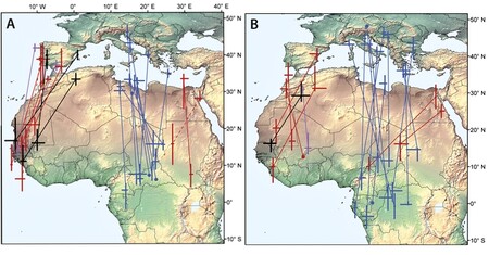 Saharu na jeden zátah.