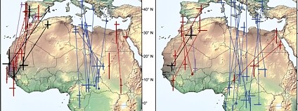 Petr Adamík a kol. / Scientific Reports